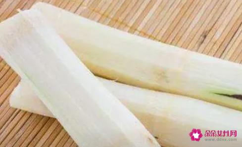 甘蔗的功效及作用