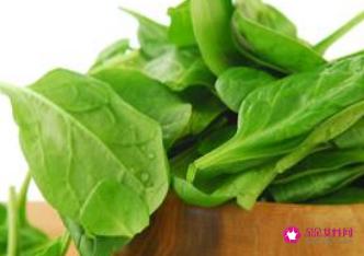 鱼的营养价值和作用