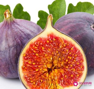 41种不常见的水果(图)