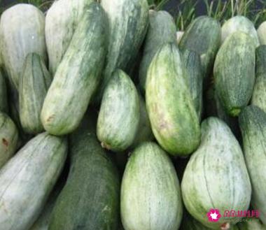 41种不常见的水果(图)