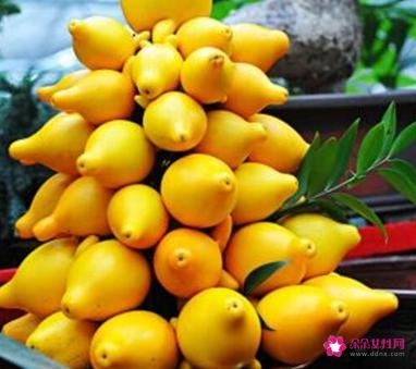 41种不常见的水果(图)