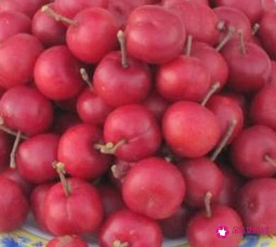 41种不常见的水果(图)