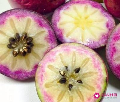 41种不常见的水果(图)