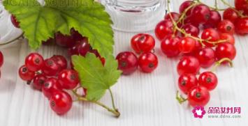 41种不常见的水果(图)