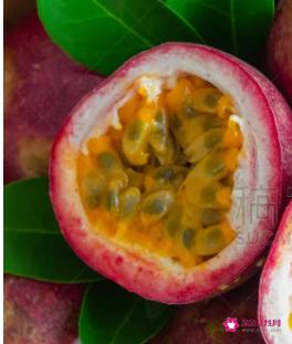 41种不常见的水果(图)