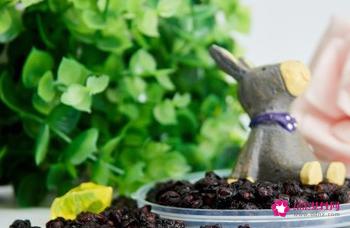 五味子的功效与主治