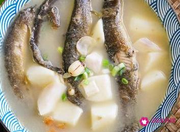 夏日最适合煲什么汤