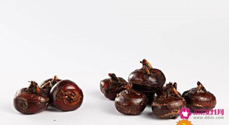 荸荠煮多久才算熟