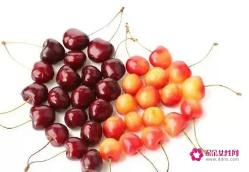 车厘子和樱桃有哪些区别