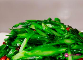 立春适合吃什么菜