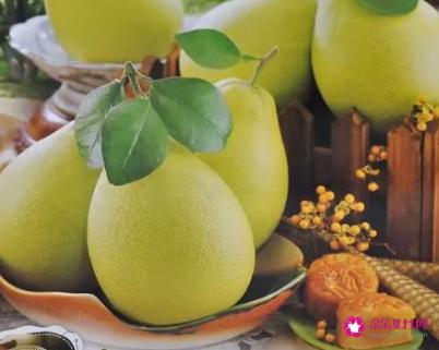 文旦的功效作用