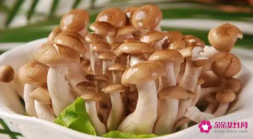 蟹味菇的功效与作用