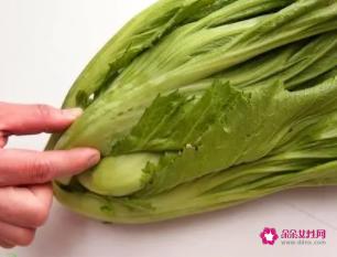芥菜和小芥菜的区别图片