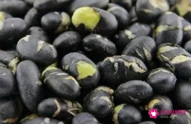 黑豆的功效和作用有哪些