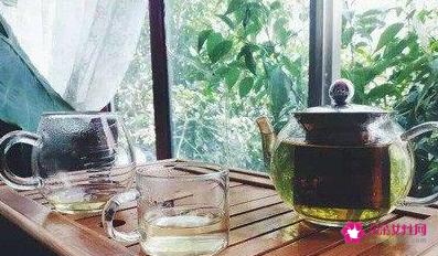 绞股蓝泡水喝的功效