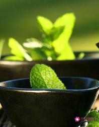 十大排毒养颜花茶