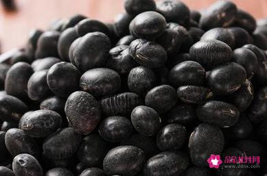 黑豆简单吃法大全