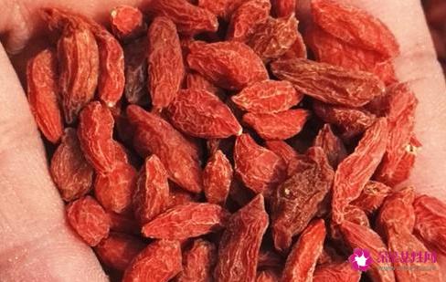 枸杞怎么吃效果最好