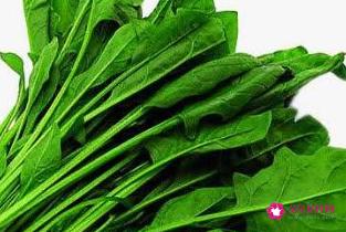 蔬菜的营养价值及功效与作用