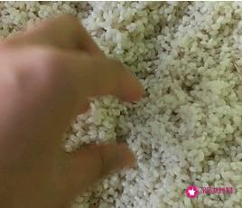 蜜枣粽子的做法和配料