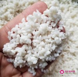 蜜枣粽子的做法和配料