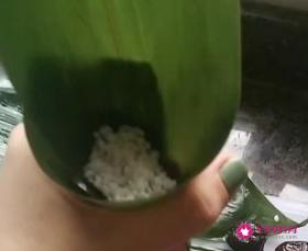 蜜枣粽子的做法和配料