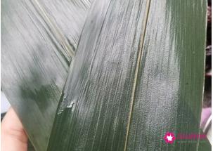 蜜枣粽子的做法和配料