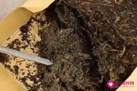 沱茶的功效与作用