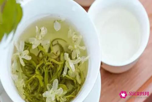 孕妇能喝茉莉花茶吗