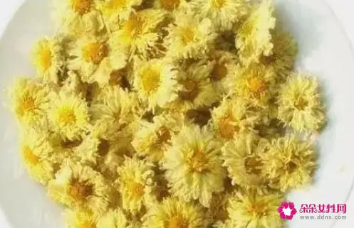 菊花茶的功效与禁忌有哪些