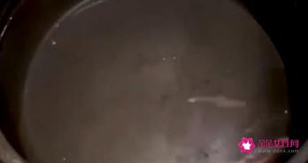 鸽子汤怎么炖营养鸽子的做法