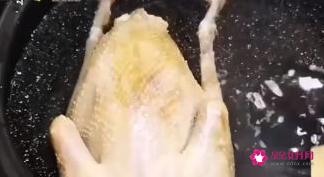 鸽子汤怎么炖营养鸽子的做法