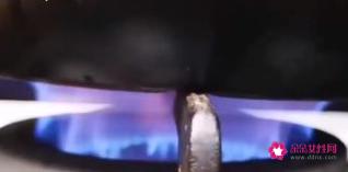 鸽子汤怎么炖营养鸽子的做法