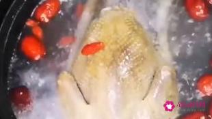 鸽子汤怎么炖营养鸽子的做法