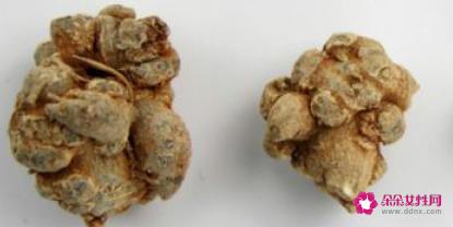 田七的主要功效