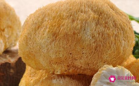猴头菇的功效与作用
