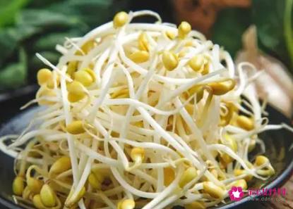 豆芽的营养价值及功效与作用