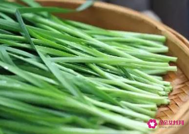 韭菜的功效与作用及营养