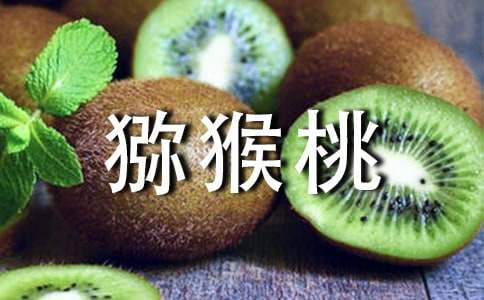吃猕猴桃带来的好处有什么