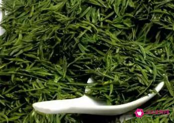 六大茶类基本知识