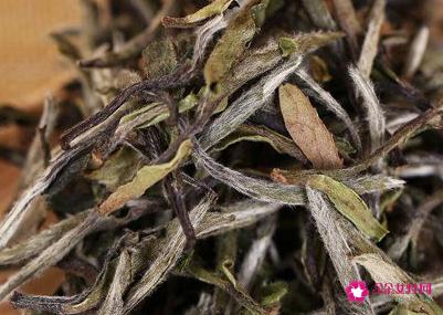 六大茶类基本知识