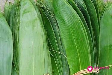 怎么包粽子详细步骤