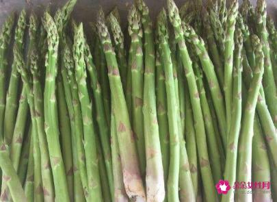 芦笋属于笋类吗