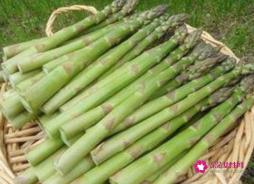 芦笋属于笋类吗