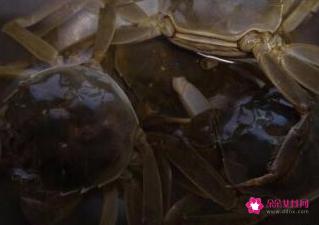 清蒸螃蟹的简单做法