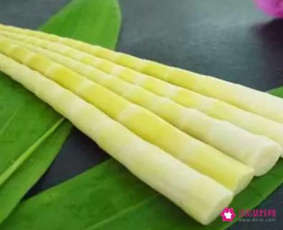 新鲜竹笋的处理方法和做法