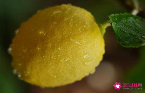 夏天喝什么解暑又解渴