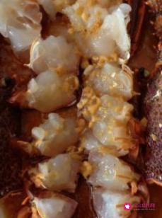 蒜蓉蒸澳洲大龙虾的做法