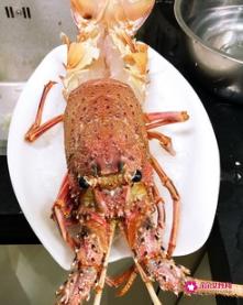 蒜蓉蒸澳洲大龙虾的做法