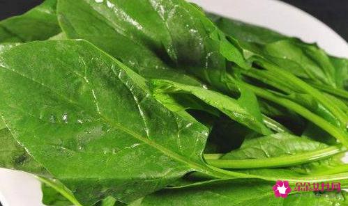 吃什么食物能瘦脸